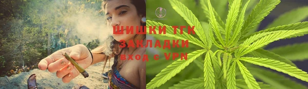 тгк Алзамай