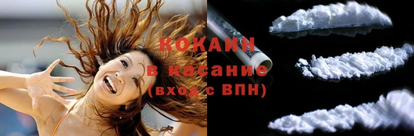 тгк Алзамай