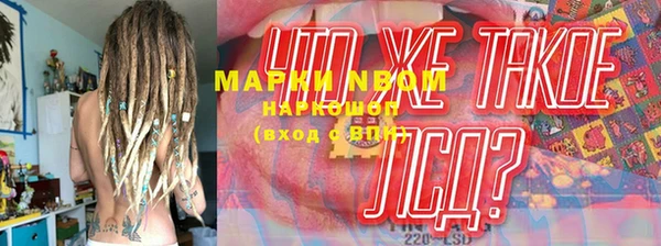 тгк Алзамай