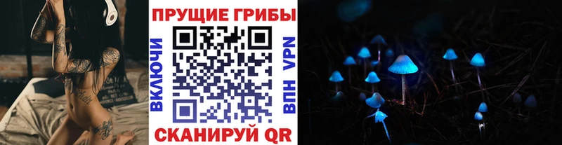 Галлюциногенные грибы Psilocybine cubensis  закладка  Петровск-Забайкальский 